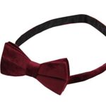 Gollate 100% Silk Velvet Bowties for Men – Pretied Bow Ties – Formal – Wedding (Burgundy)
