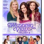 The Wedding Veil Trilogy 2 (Expectations, Inspiration, Journey)